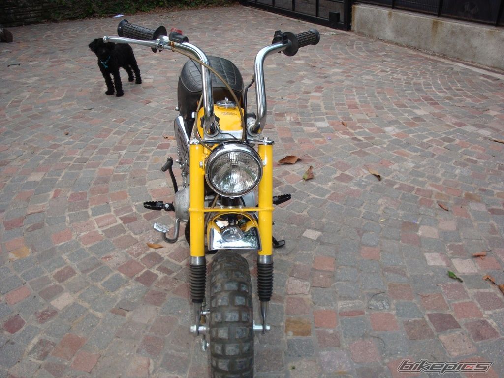 Photo 2480289
