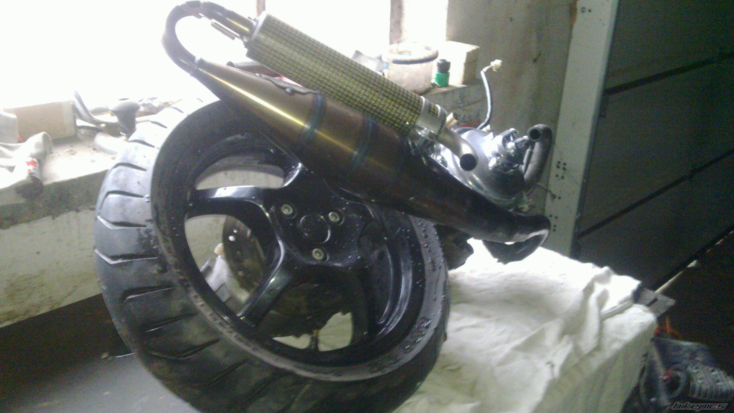 Photo 2480354