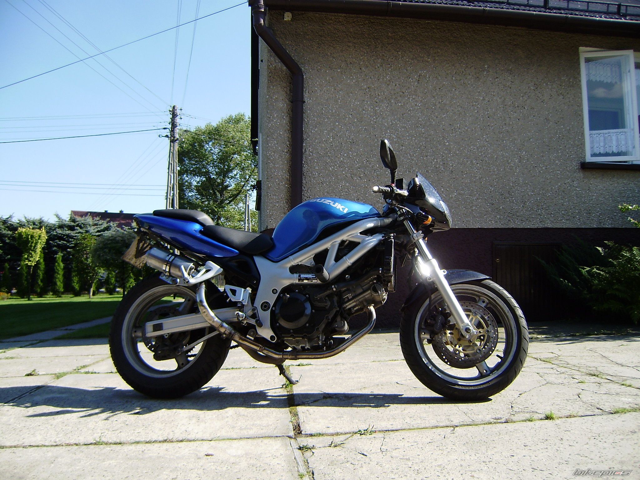 Photo 2480368
