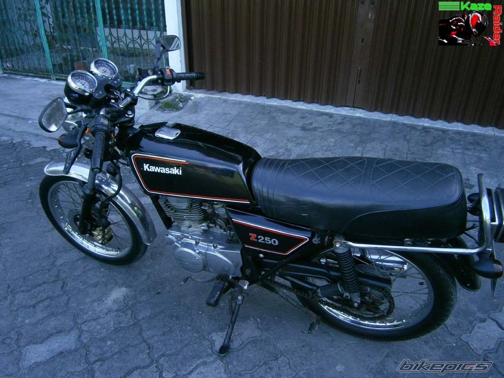 Photo 2480390