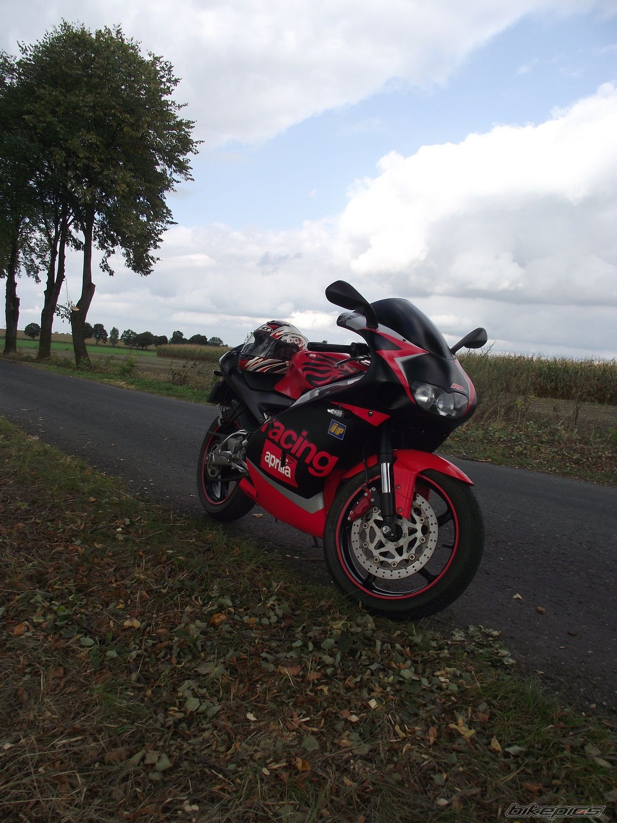 Photo 2480427
