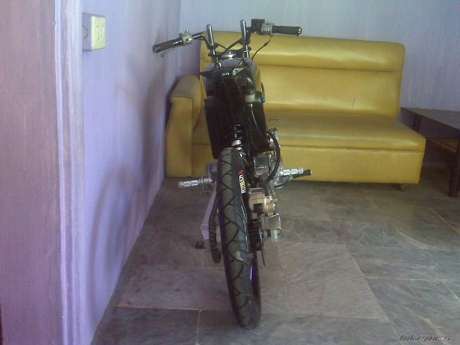 Photo 2480445