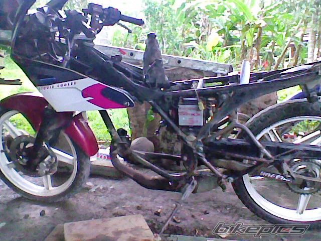 Photo 2480489