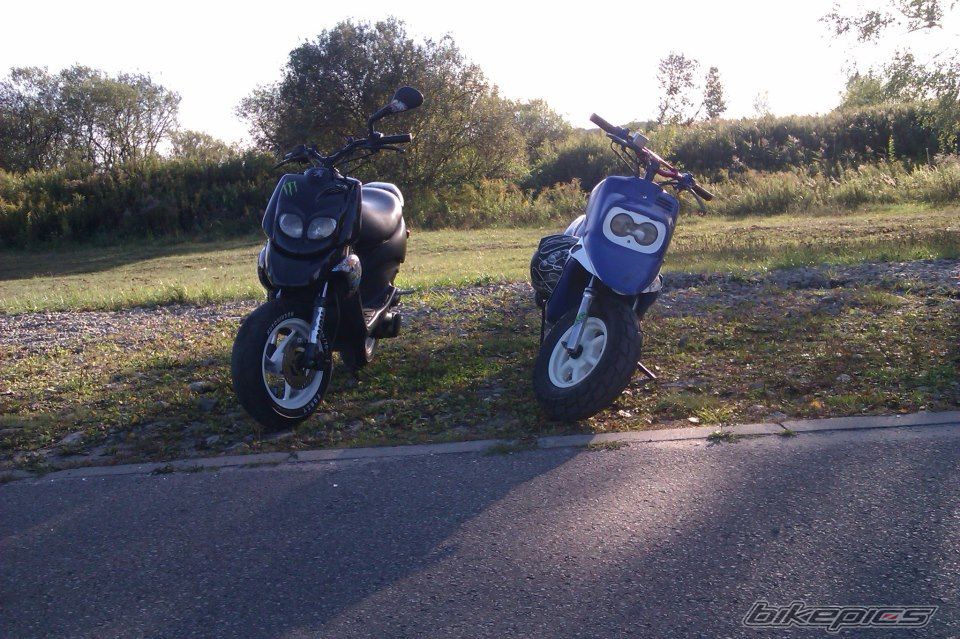 Photo 2480519