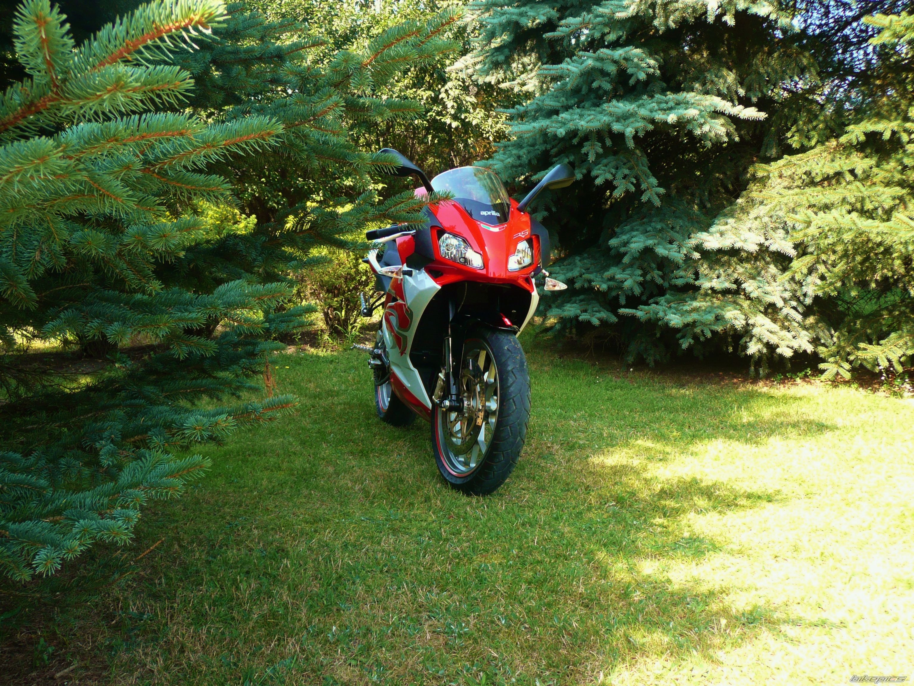 Bike Photo 2480537