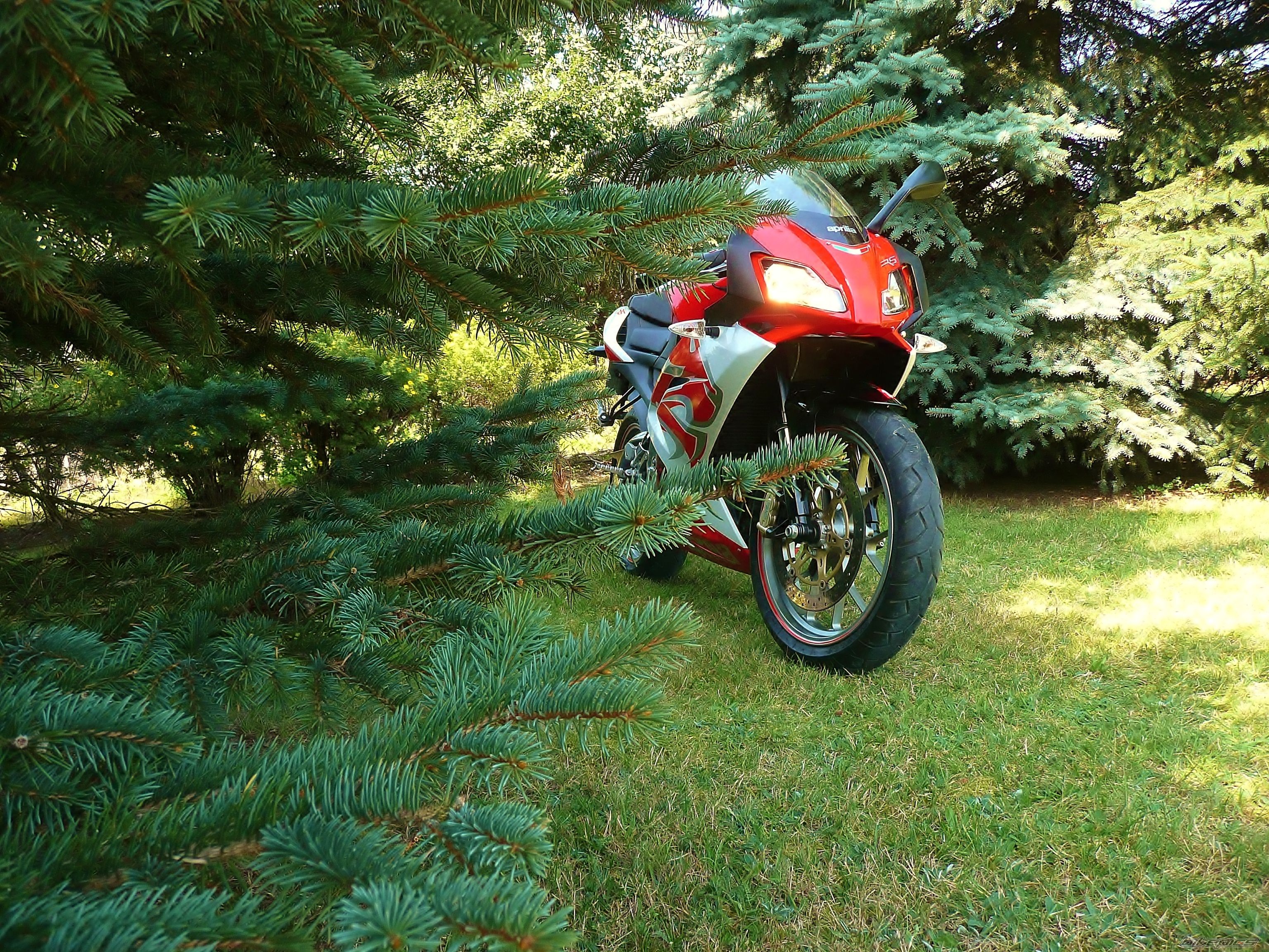 Bike Photo 2480538