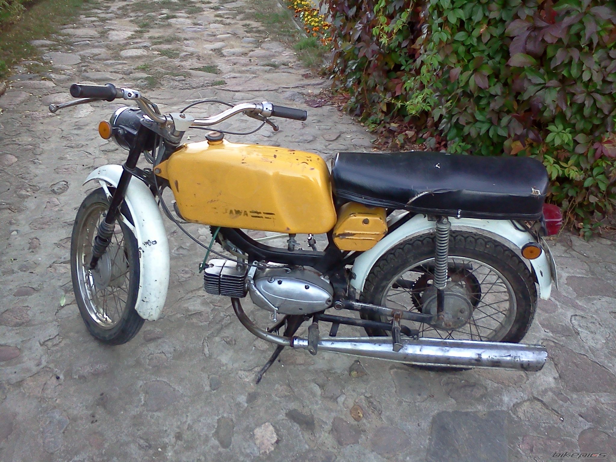Photo 2480549