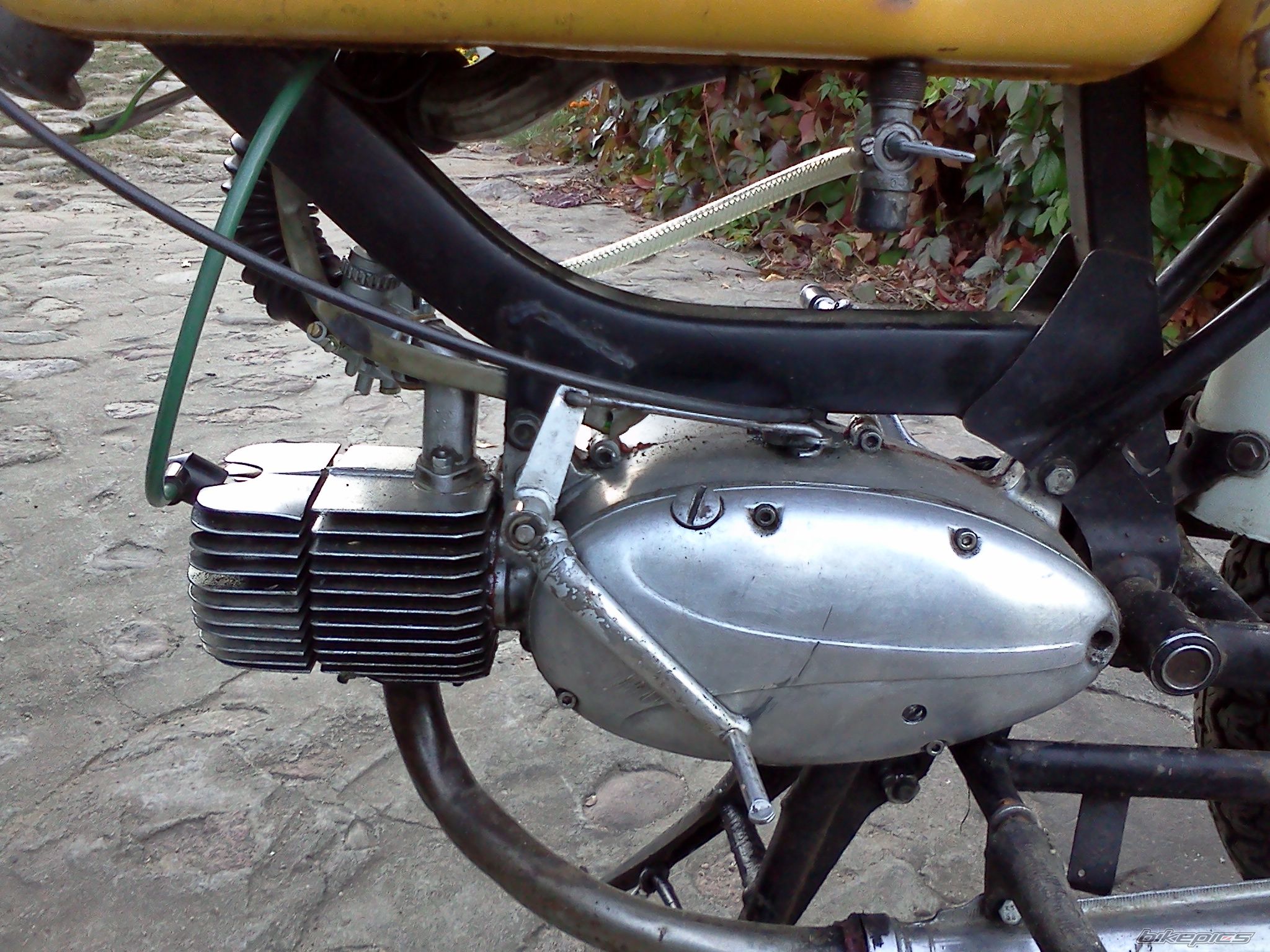 Photo 2480550