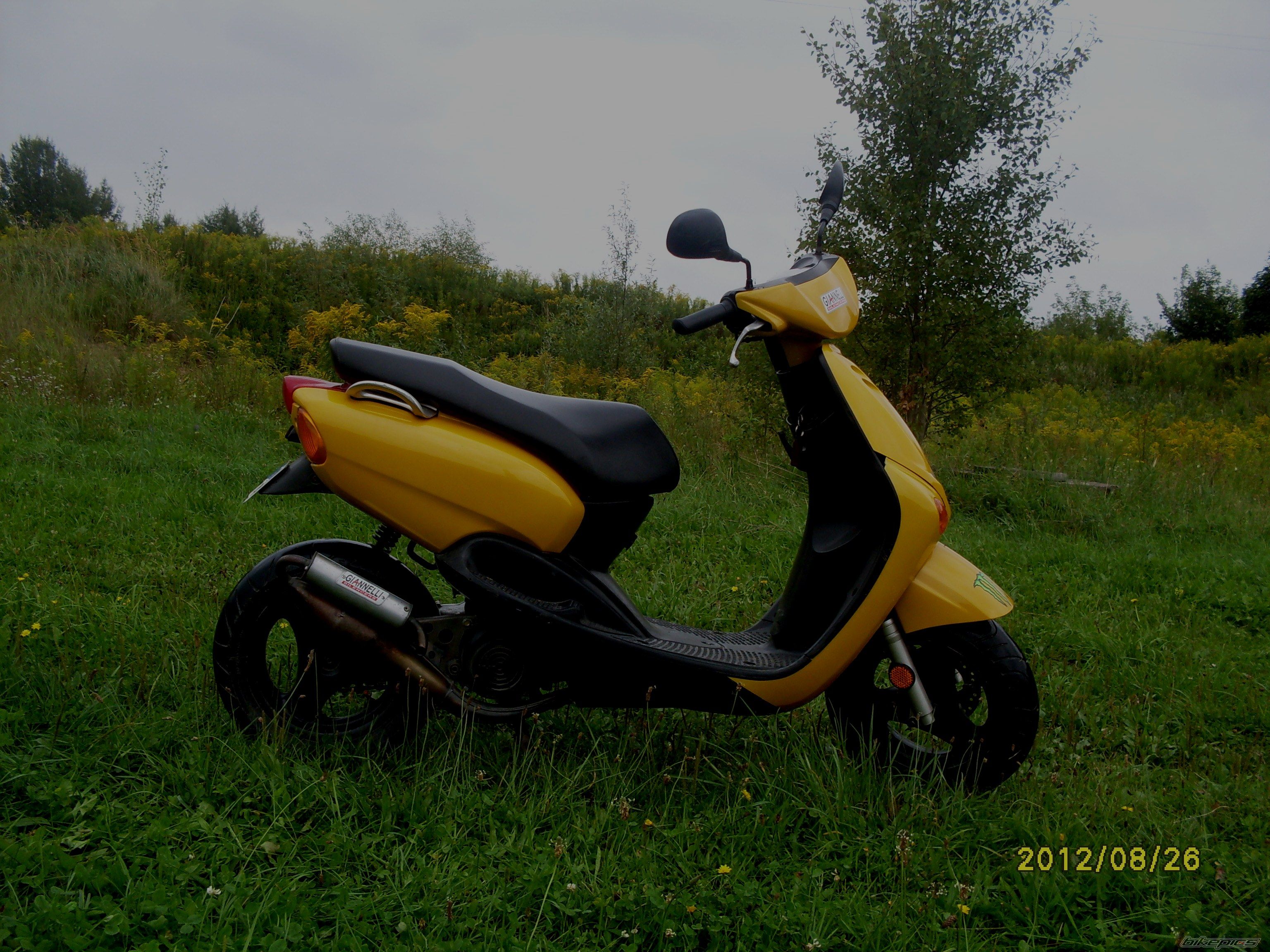 Photo 2480562