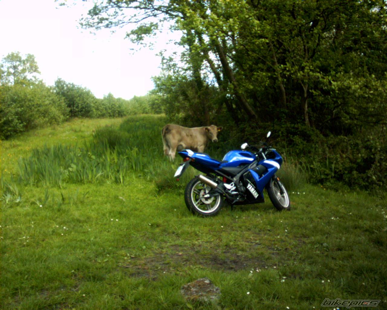 Bike Photo 248059