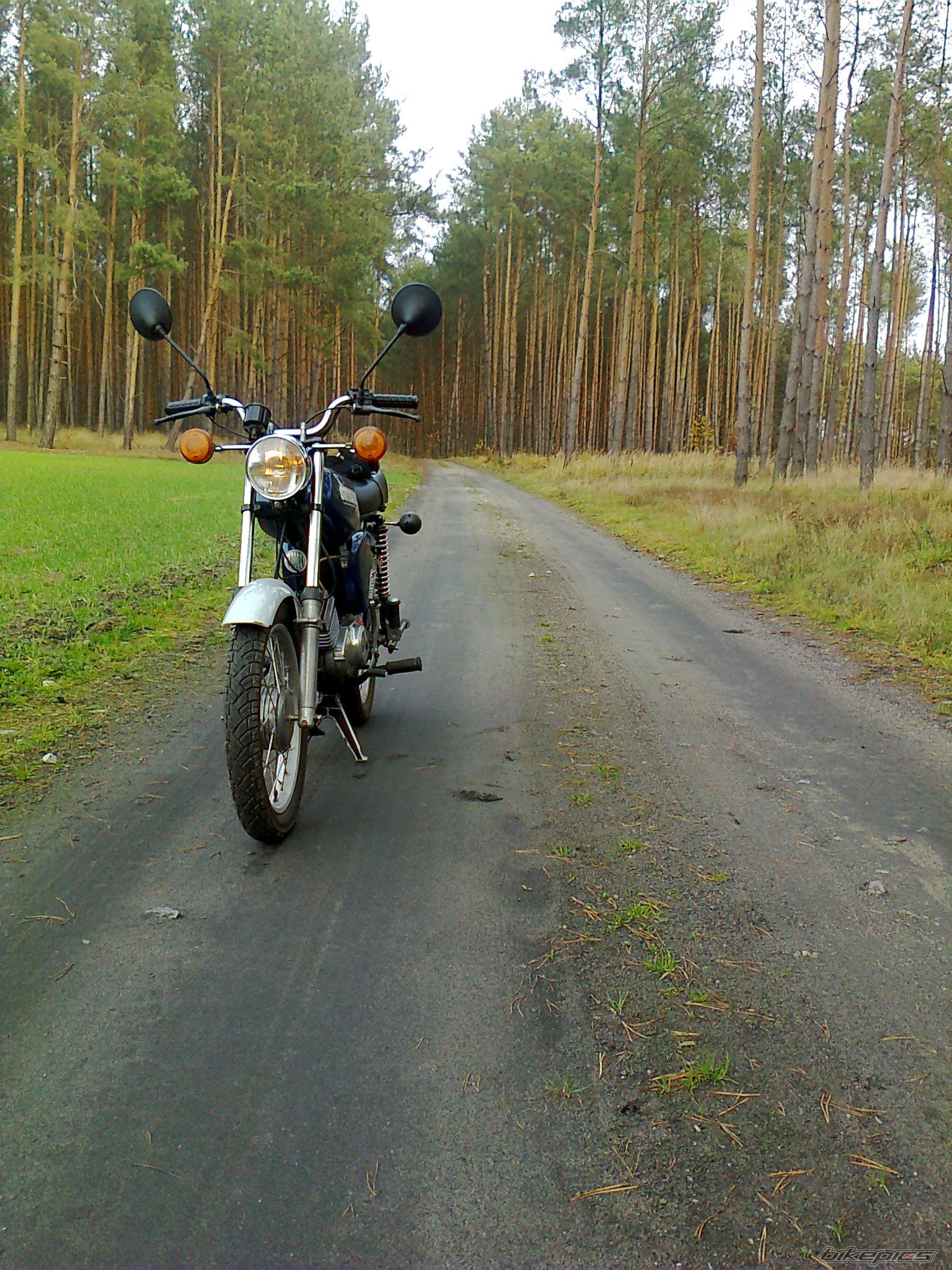 Photo 2480654