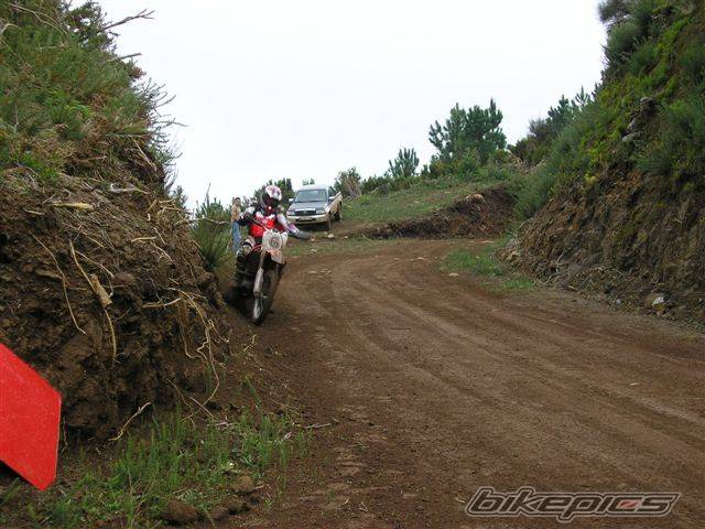 Photo 248067