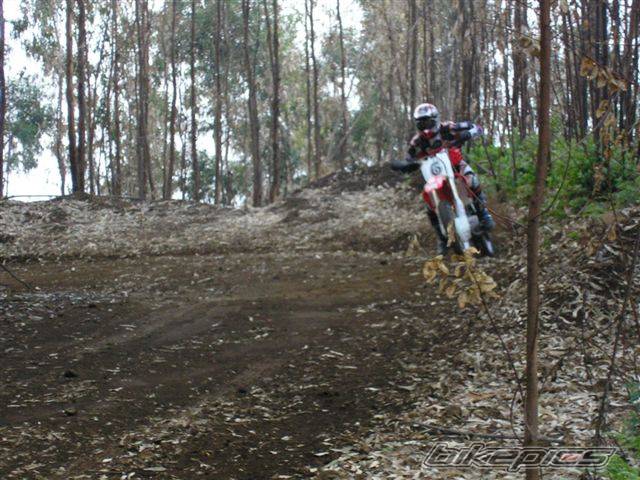 Photo 248069