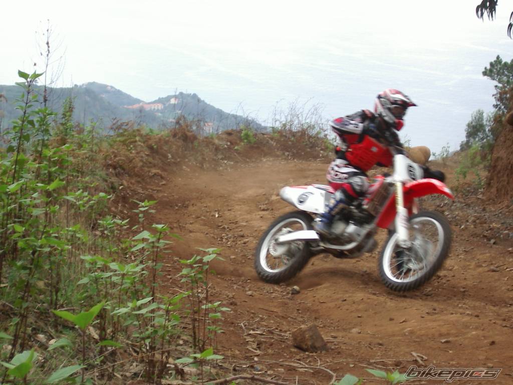 Photo 248071