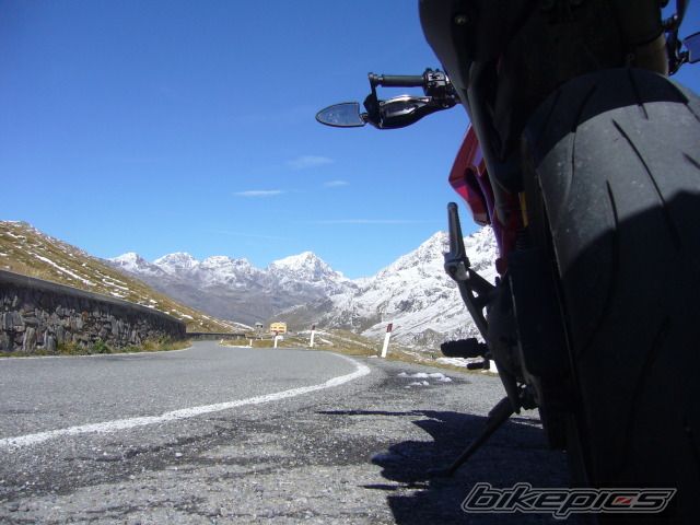 Photo 2480725