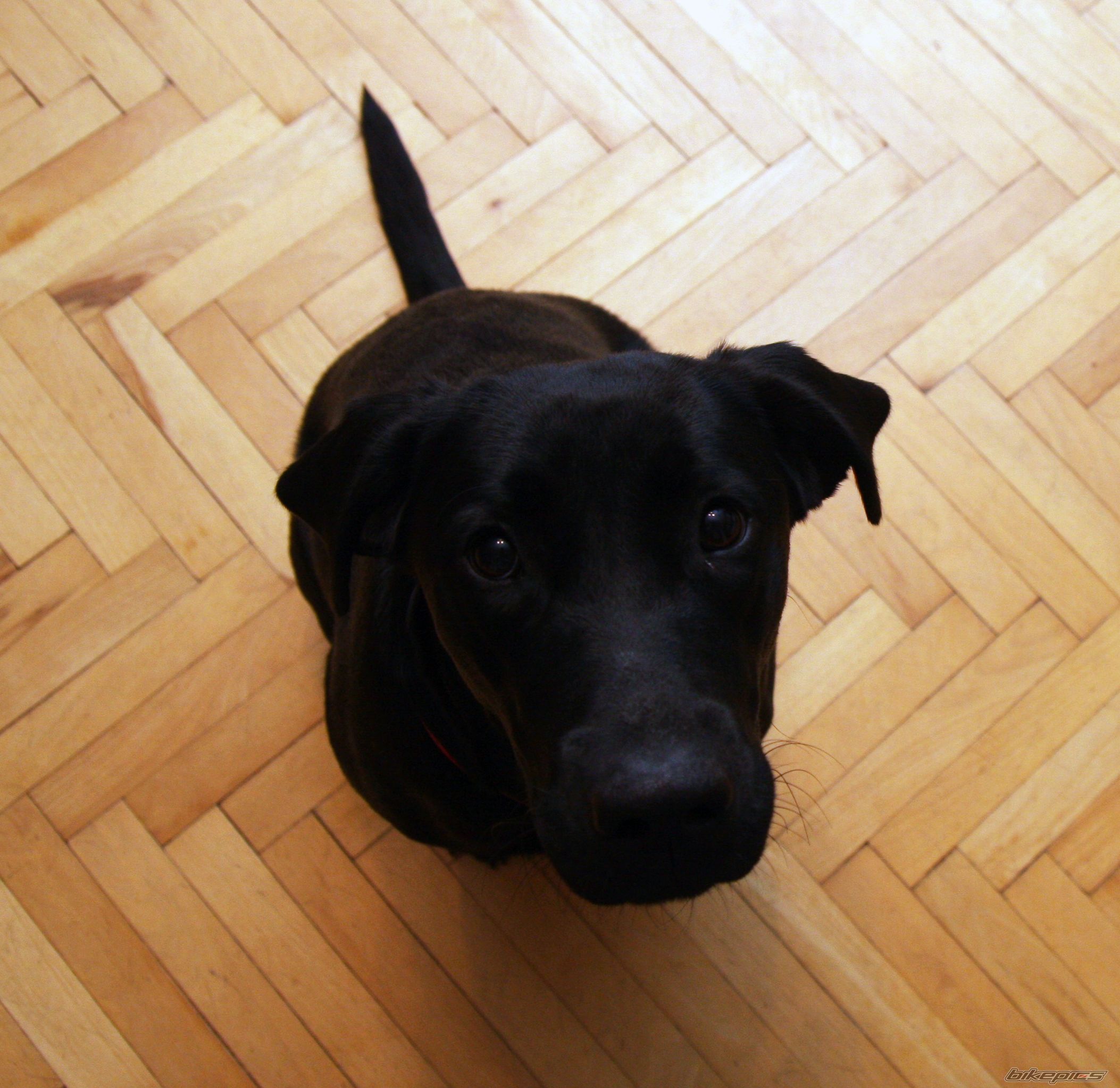 Photo 2480785