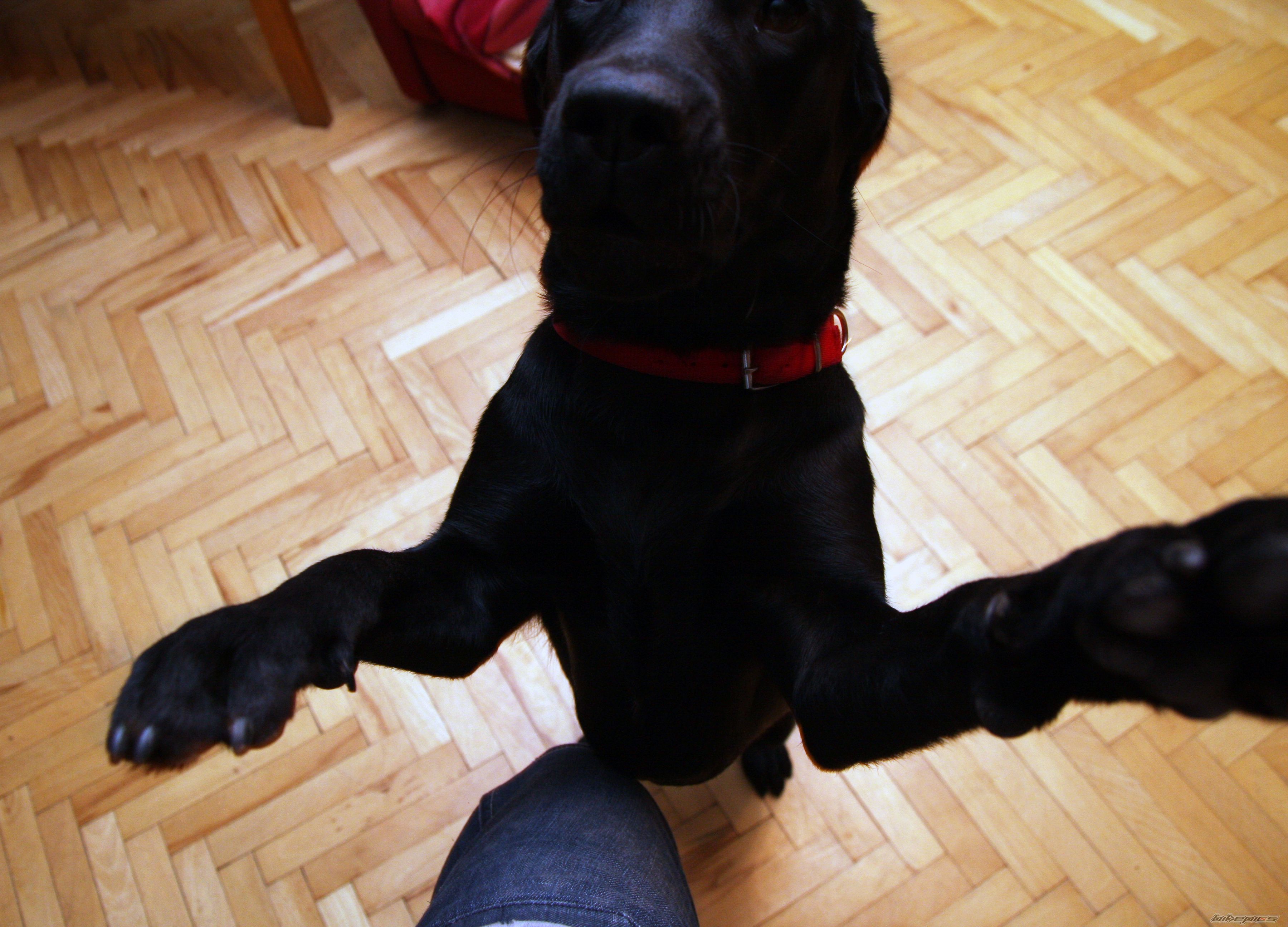 Photo 2480787