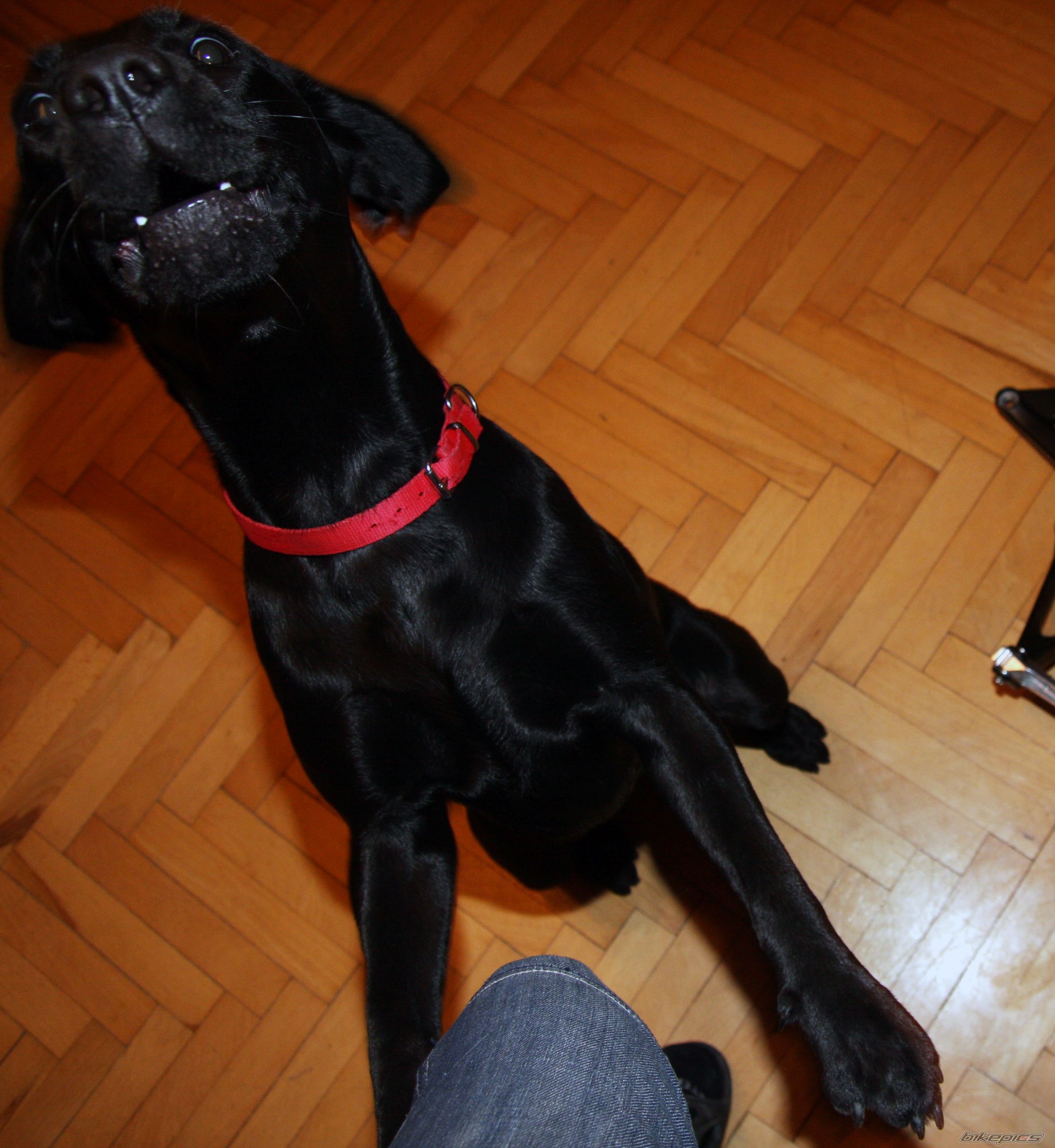 Photo 2480788