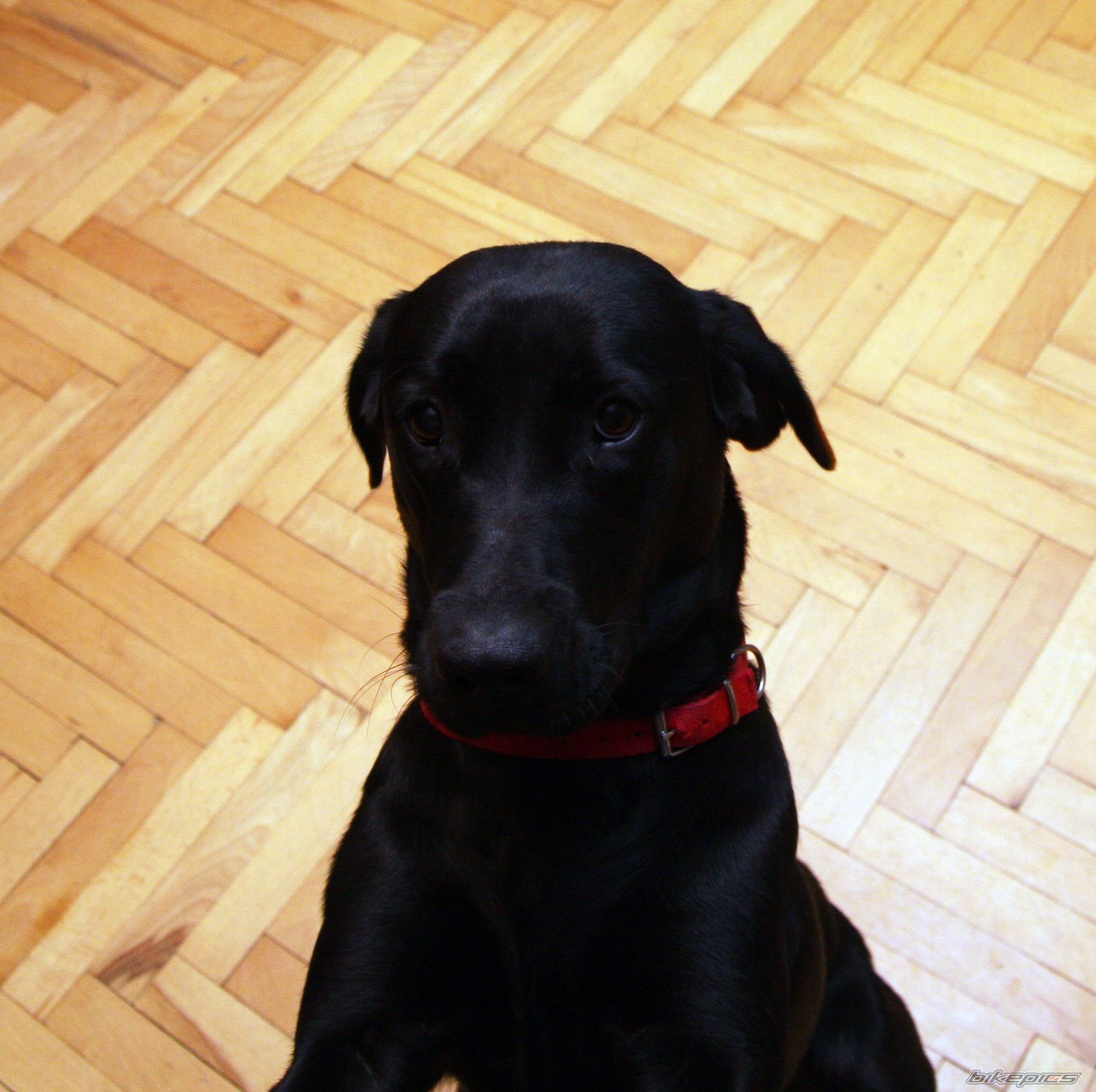 Photo 2480789