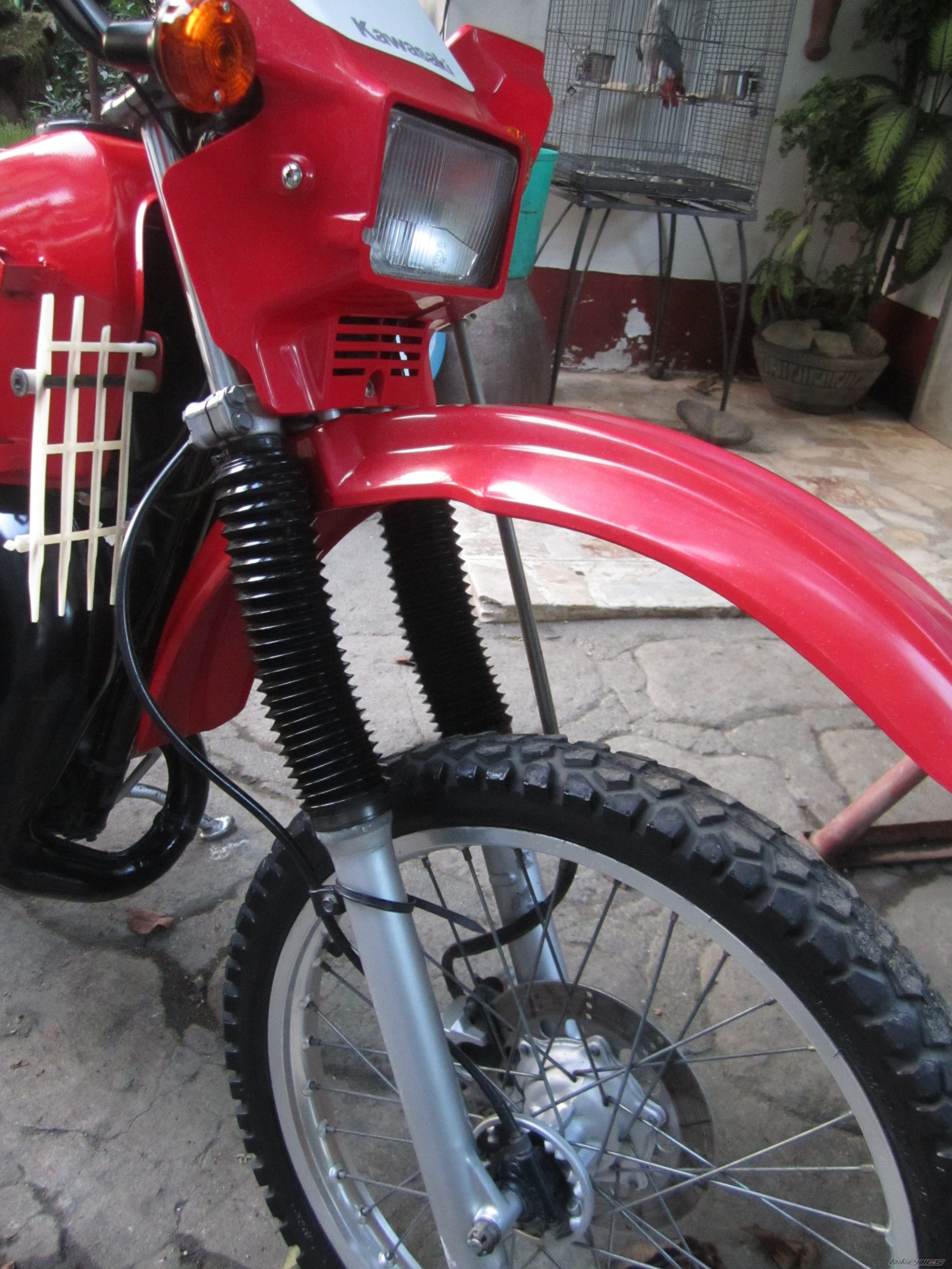 Photo 2480977