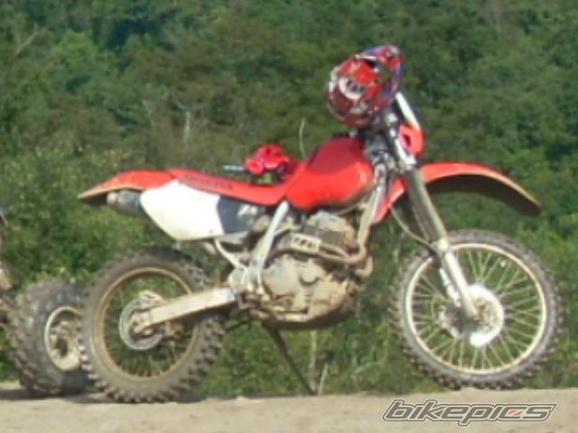 Photo 2481040