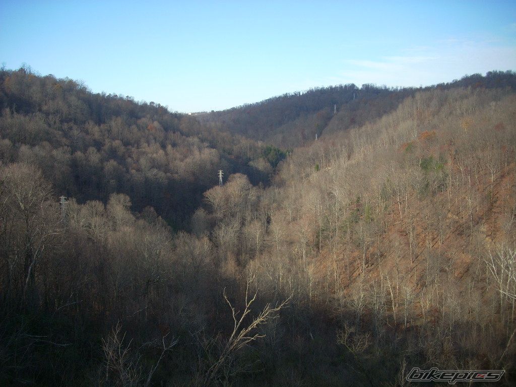 Photo 2481046