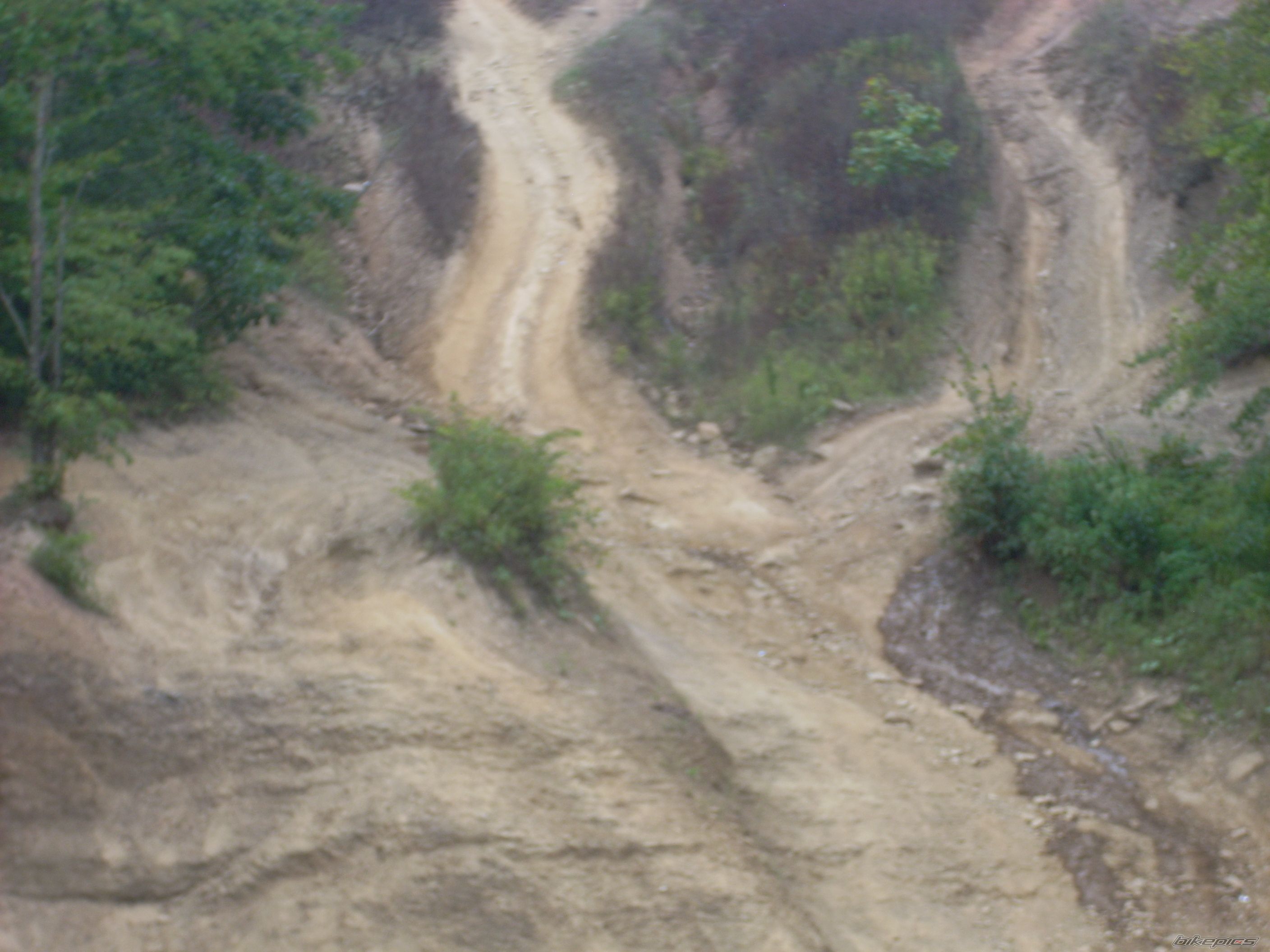 Photo 2481047