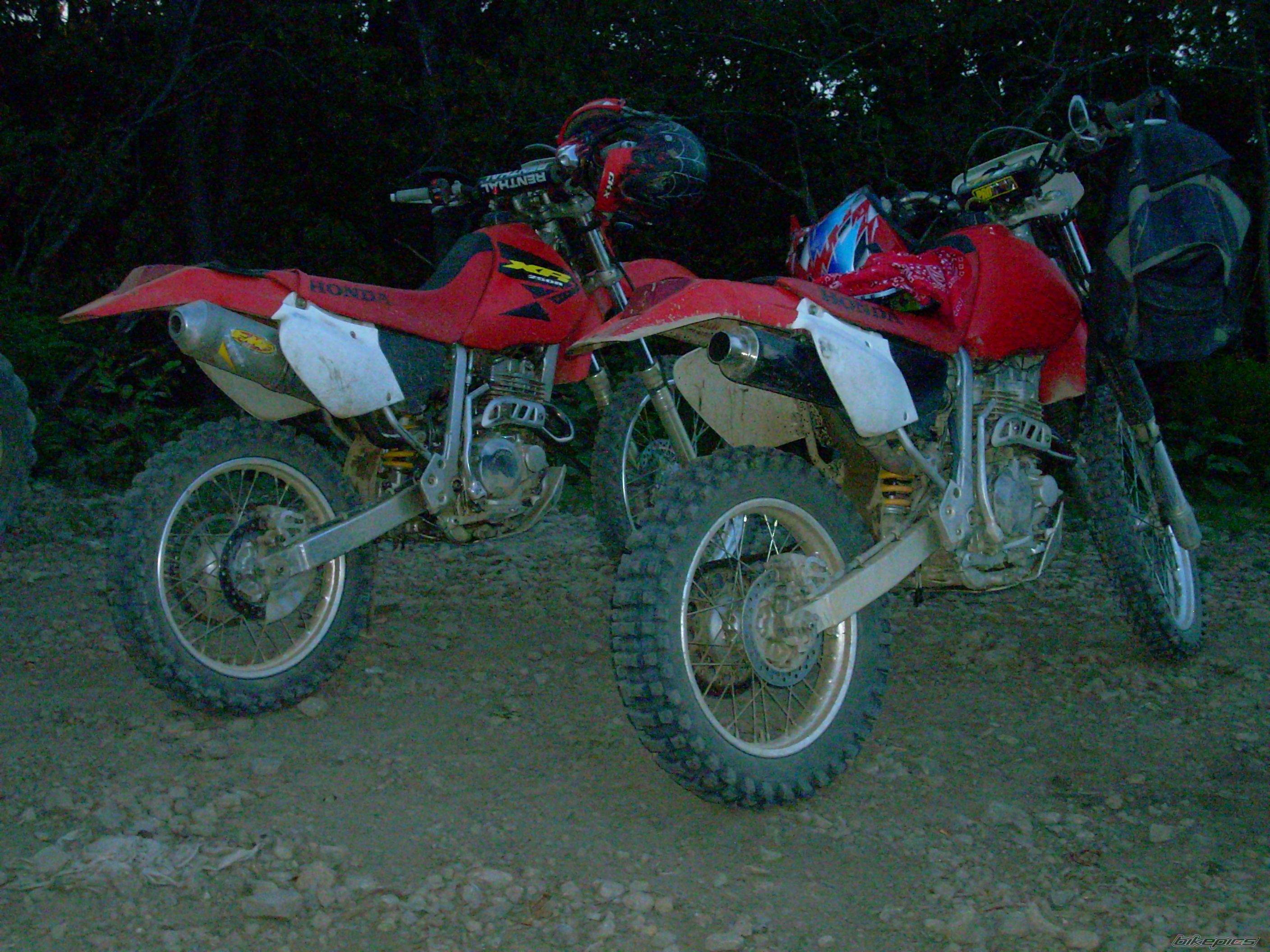 Photo 2481057