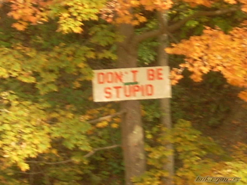 Photo 2481064