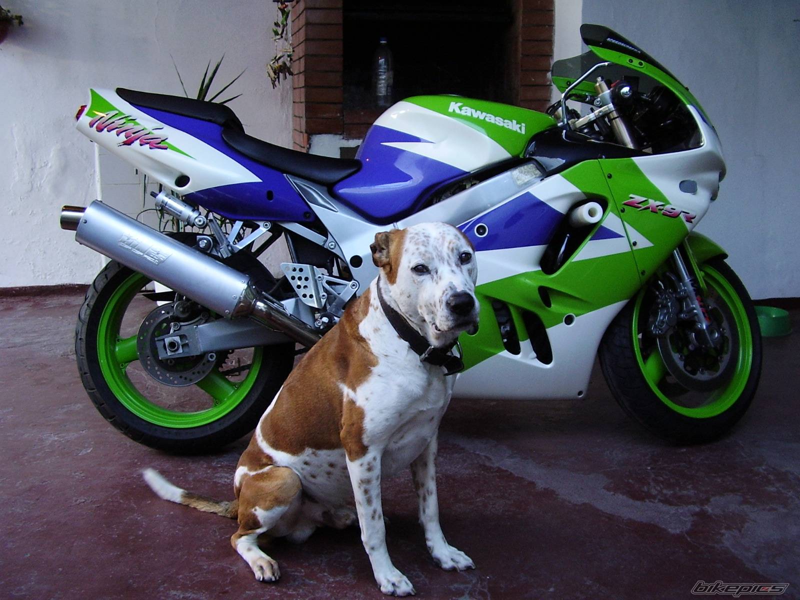 Bike Photo 248110