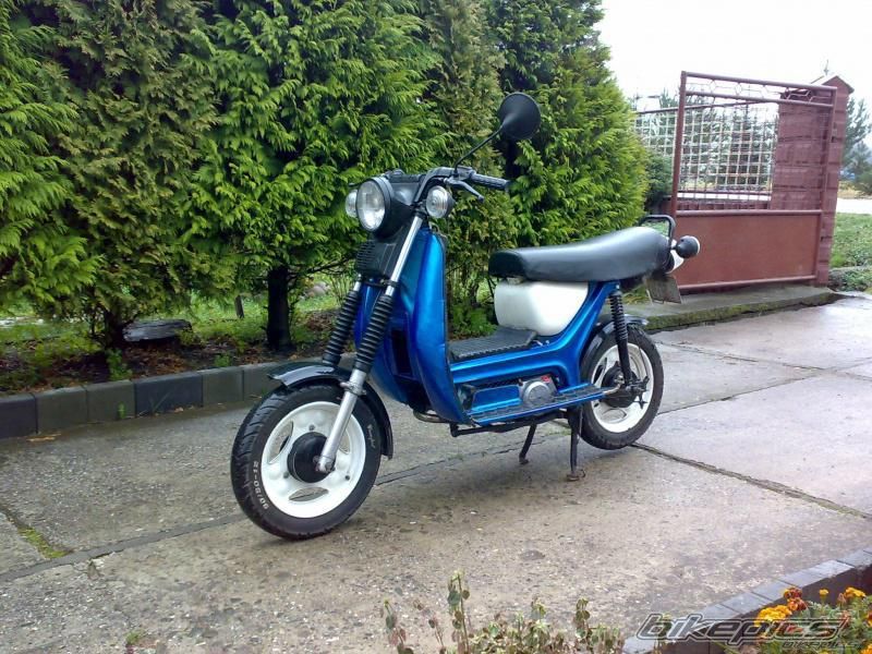 Photo 2481126