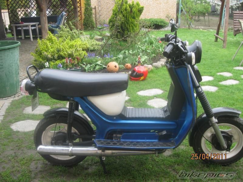 Photo 2481131