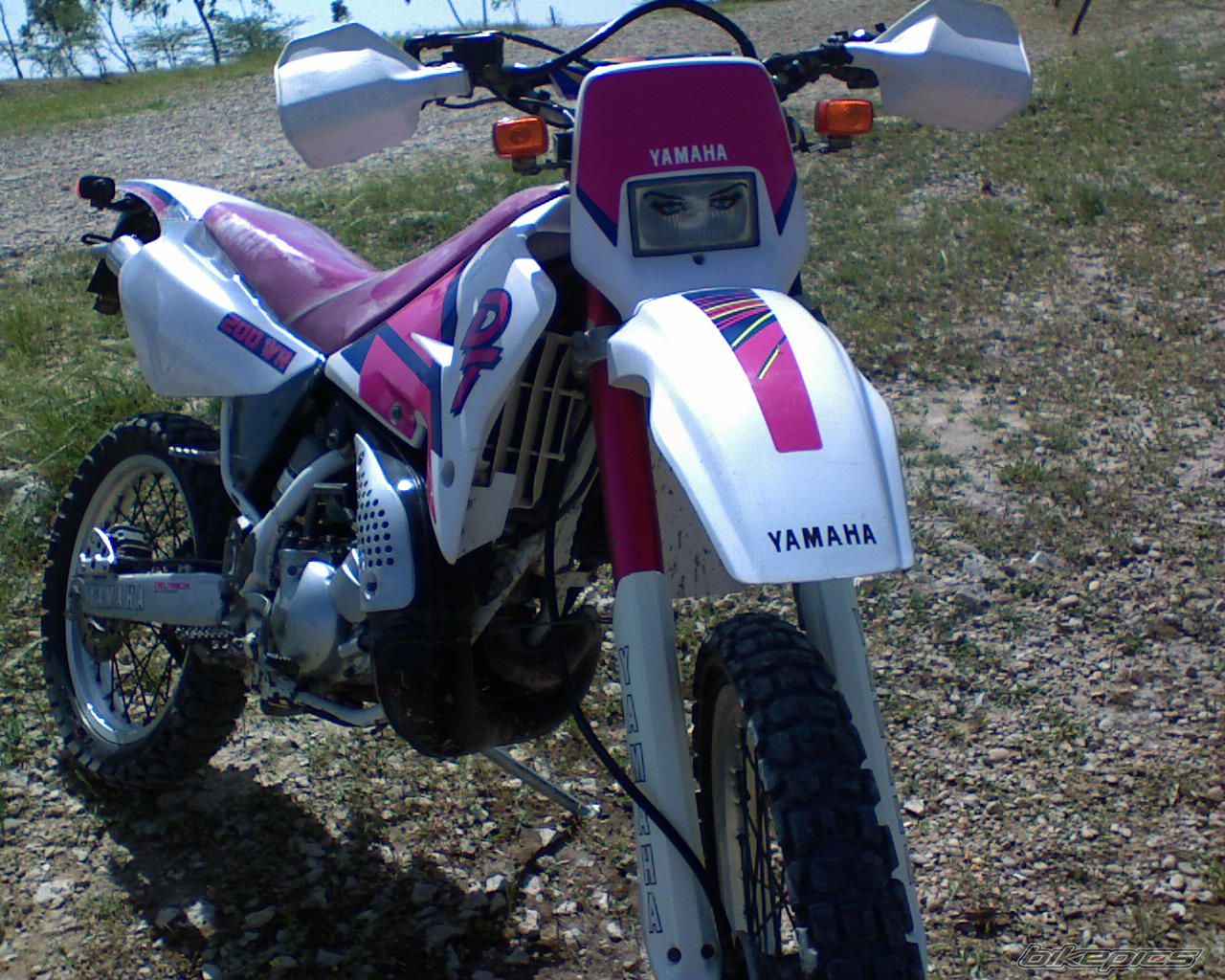 Photo 2481147