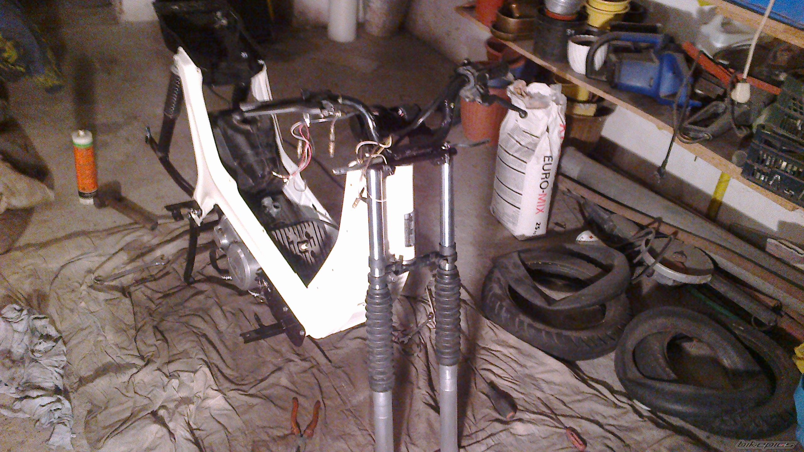 Photo 2481148