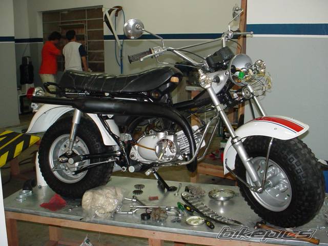 Bike Photo 248115