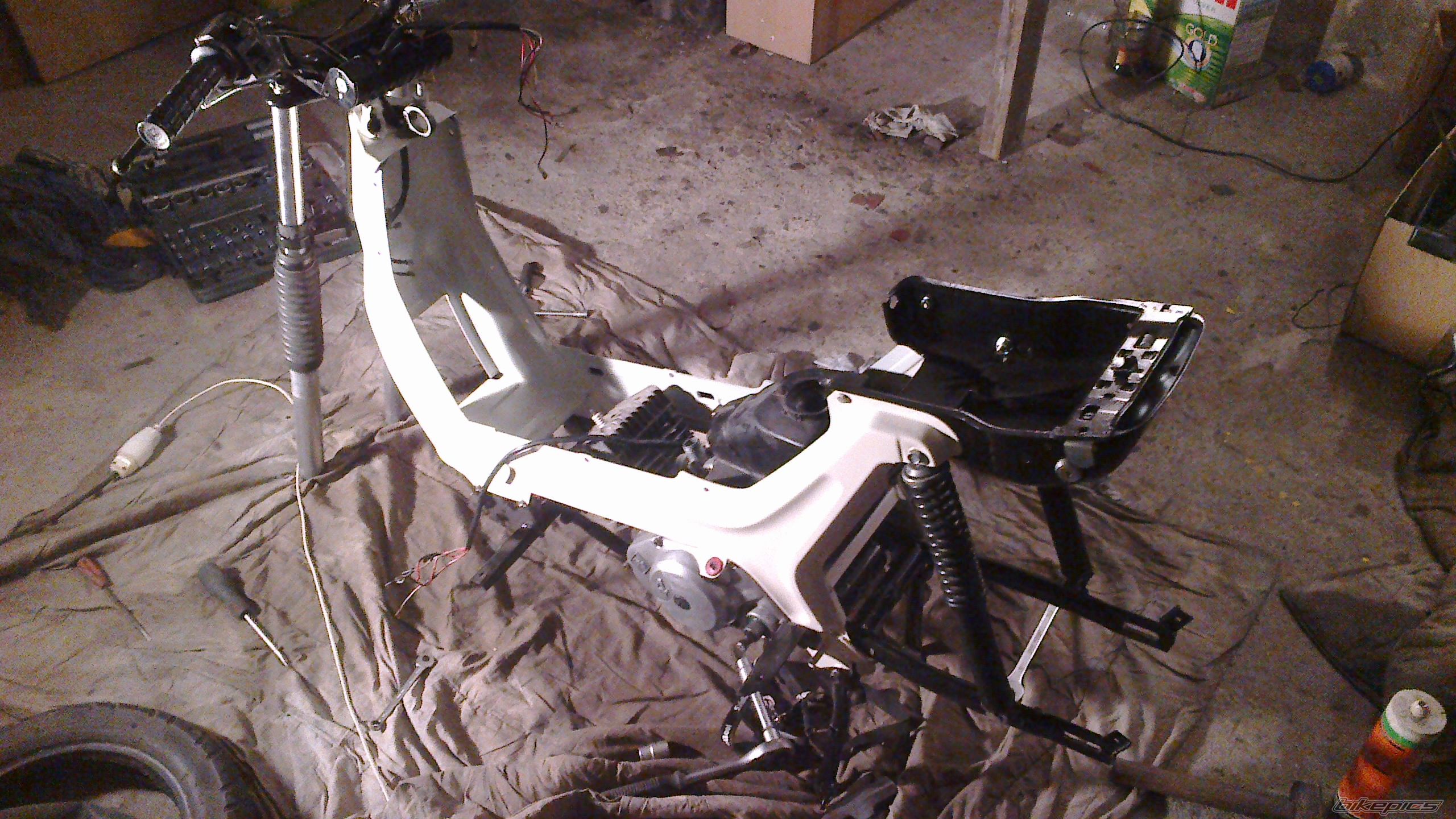 Photo 2481151