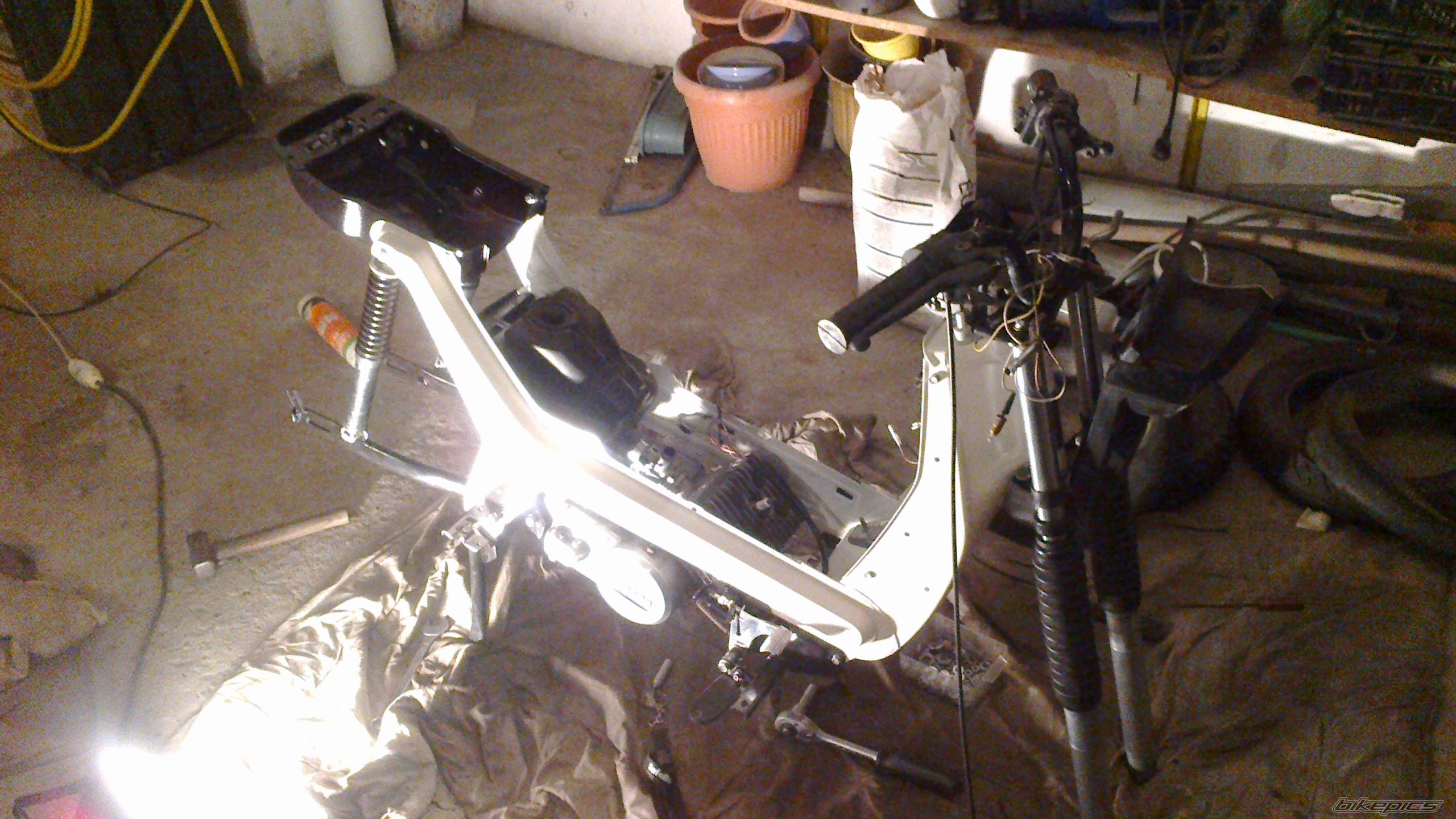 Photo 2481153