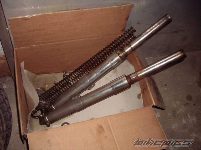 Photo 2481171