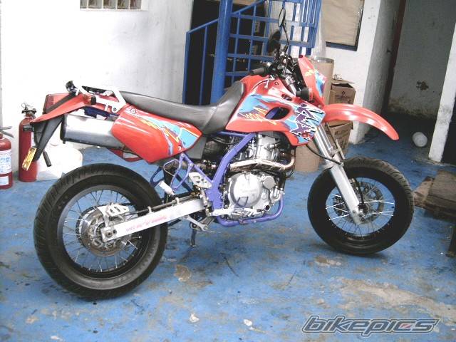 Photo 248121