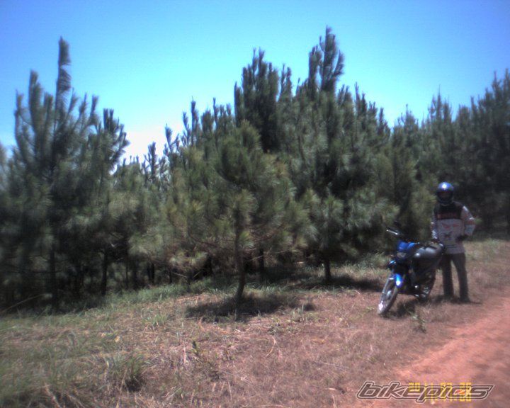 Photo 2481273