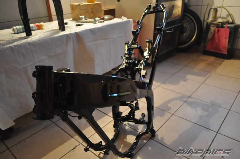 Photo 2481280