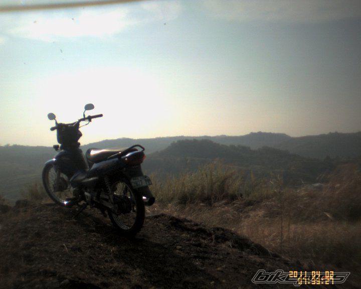 Photo 2481307