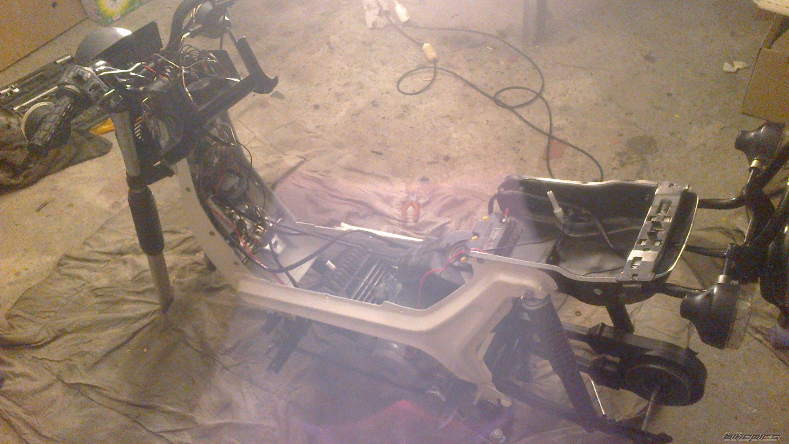 Photo 2481349