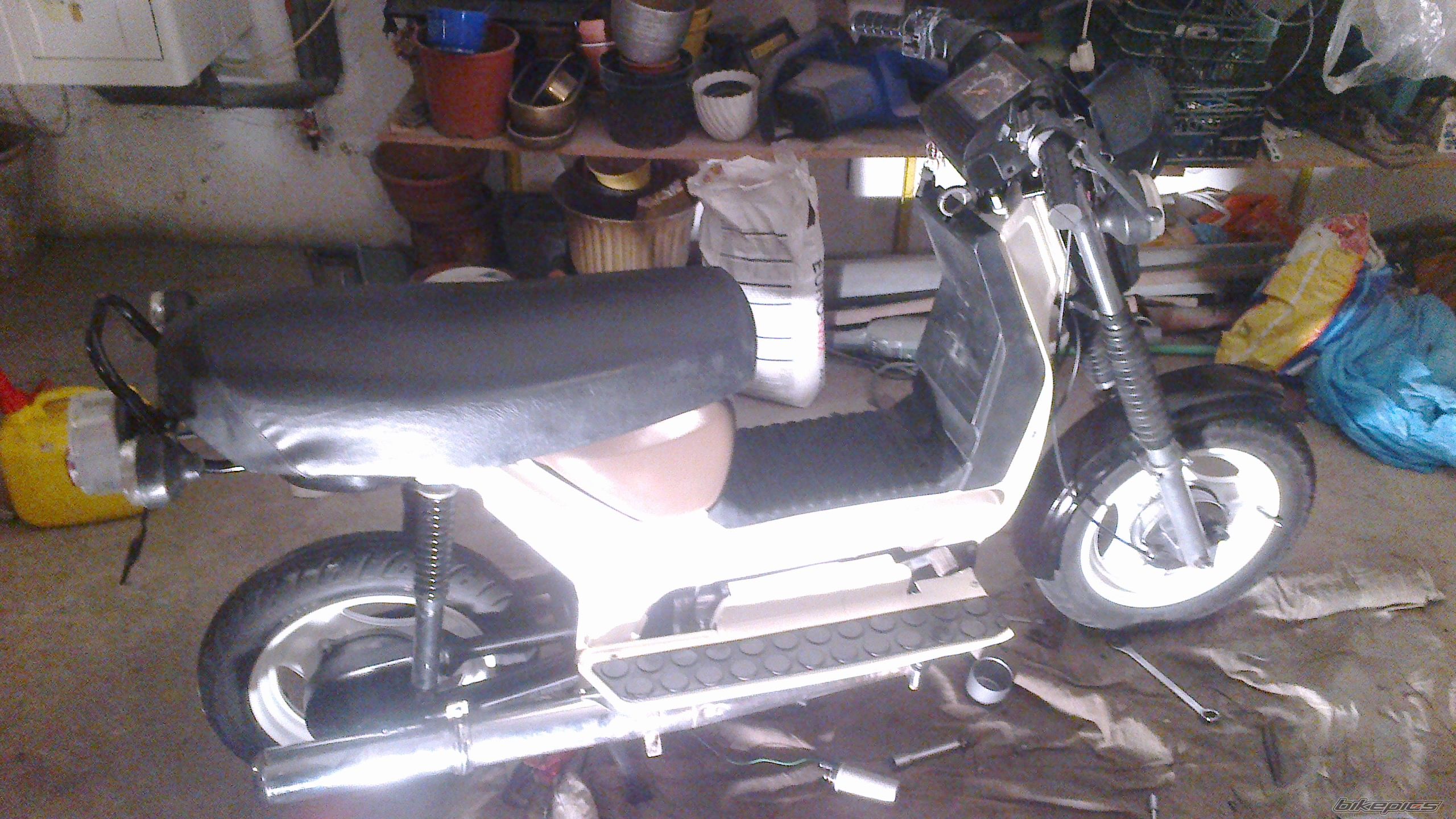Photo 2481352