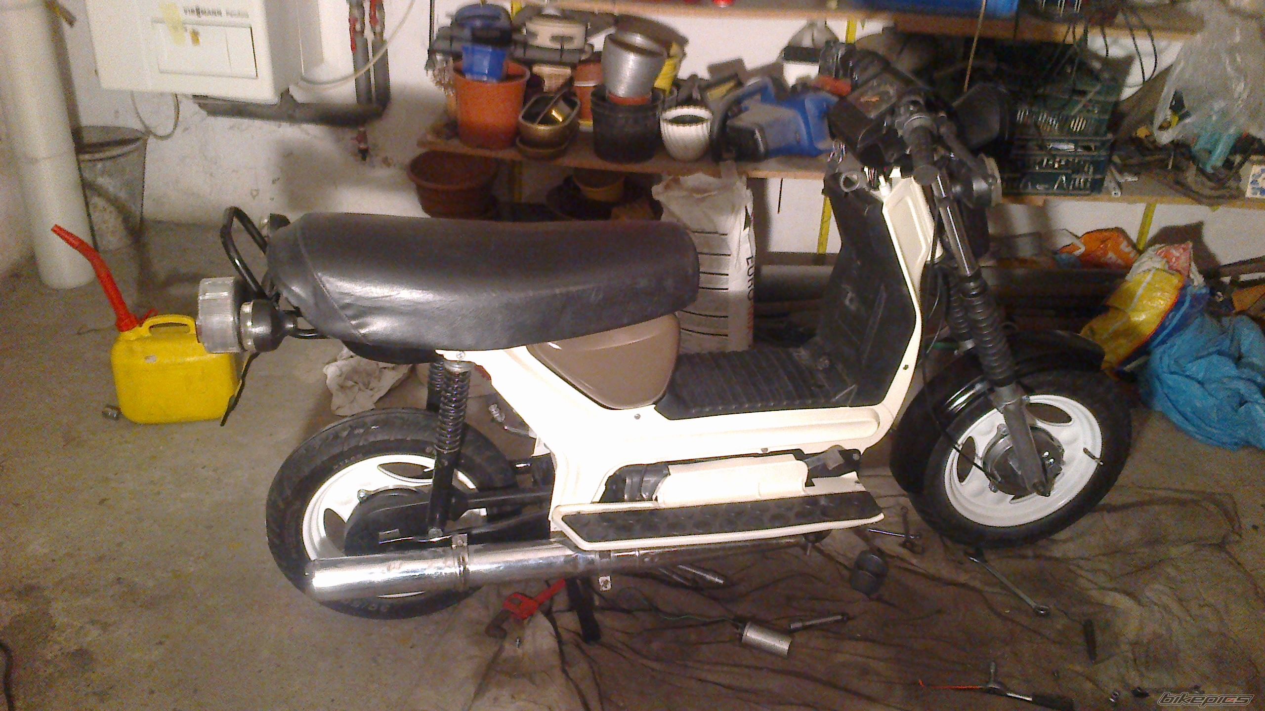 Photo 2481354