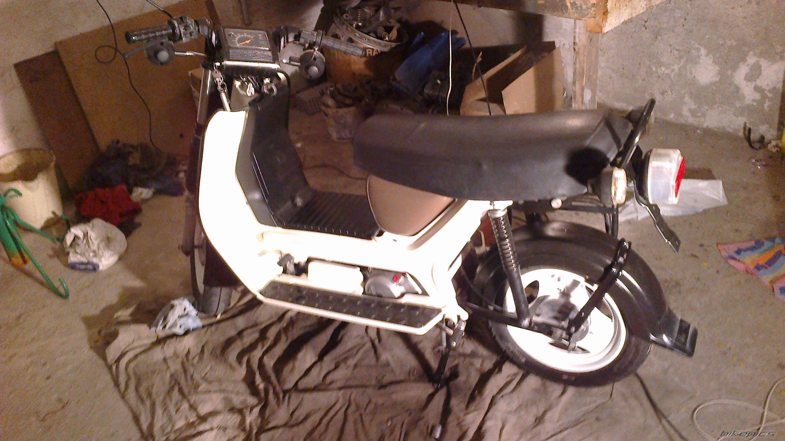 Photo 2481355