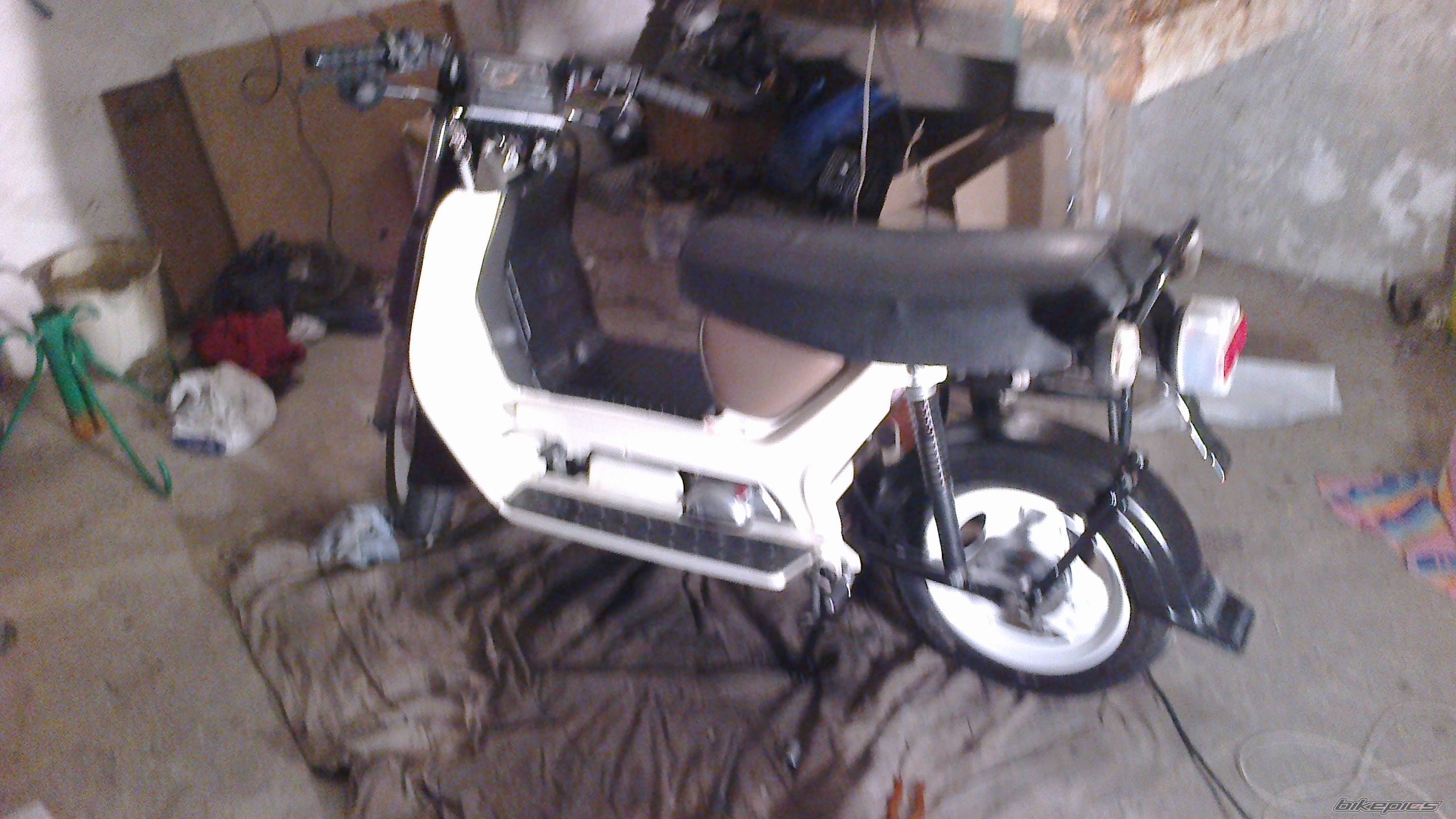 Photo 2481359