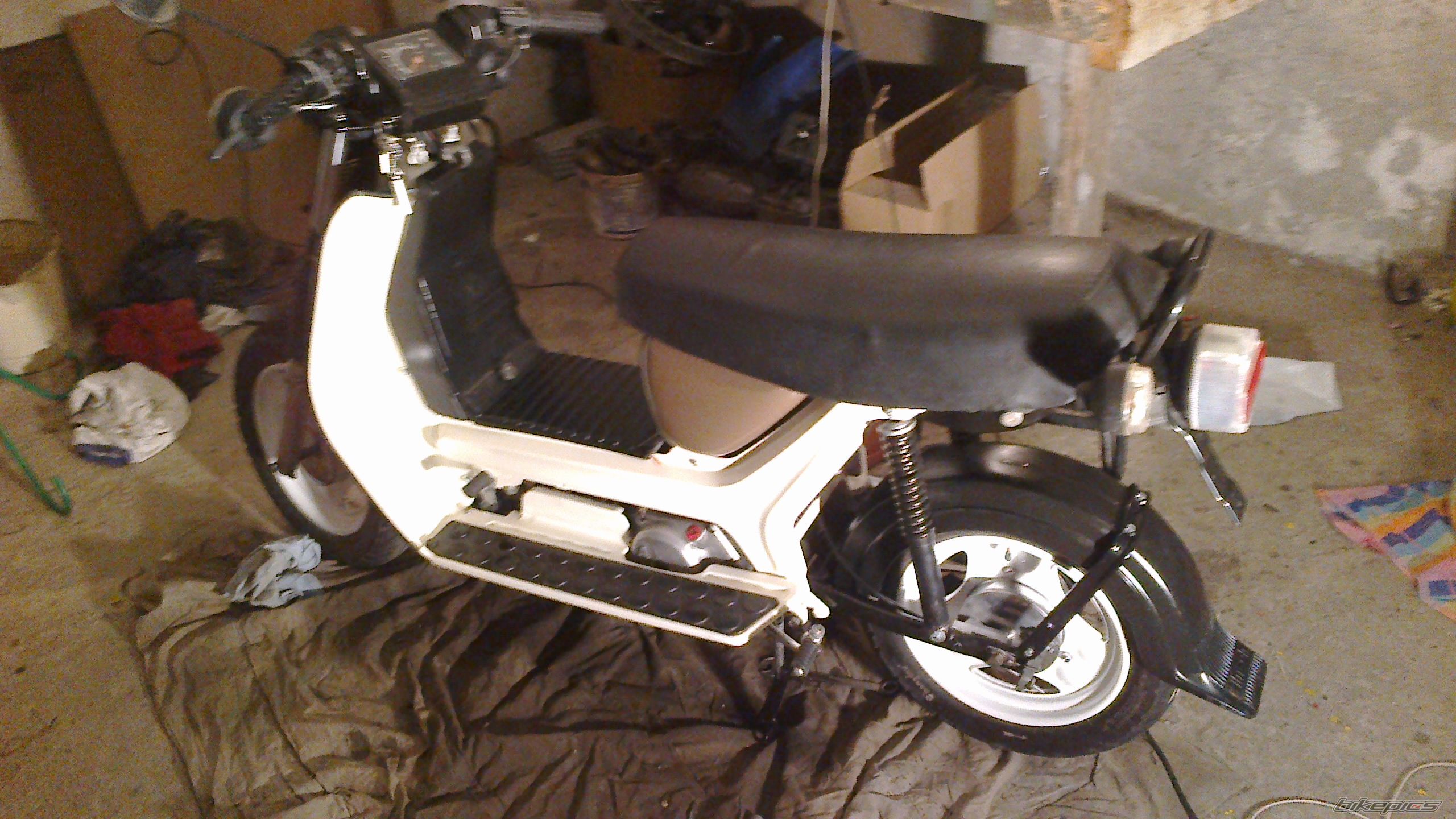 Photo 2481362