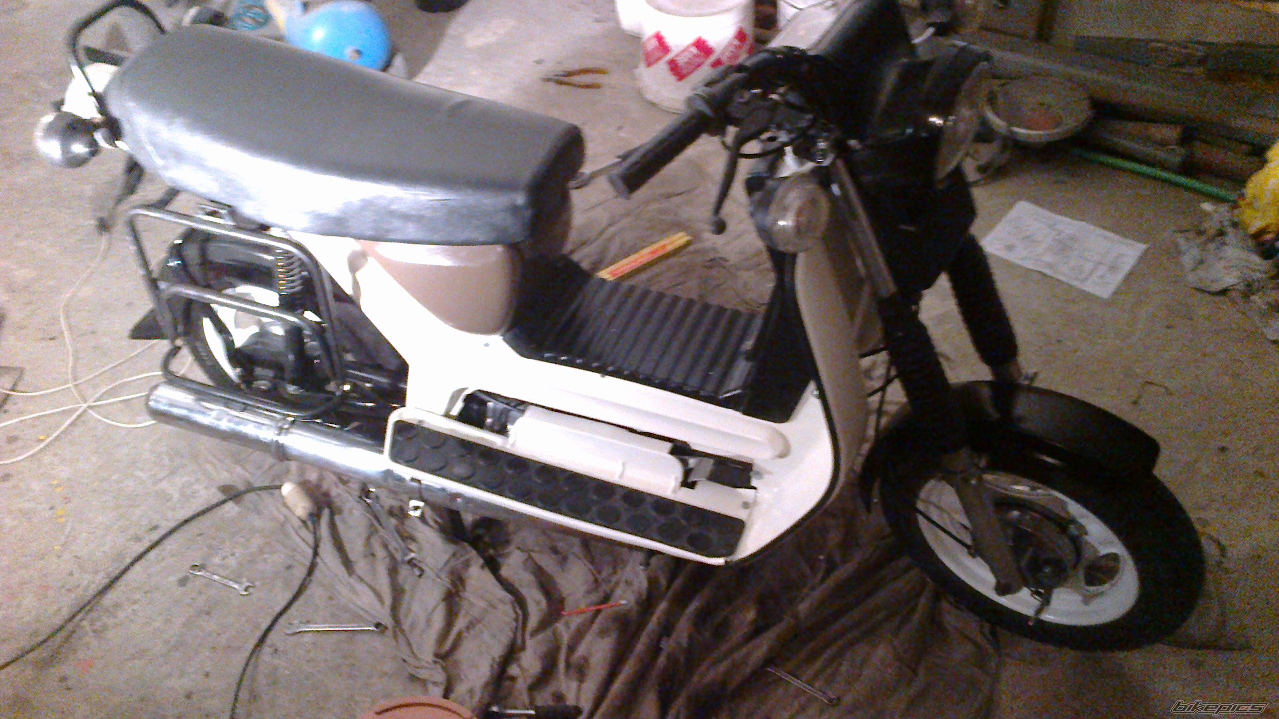 Photo 2481363