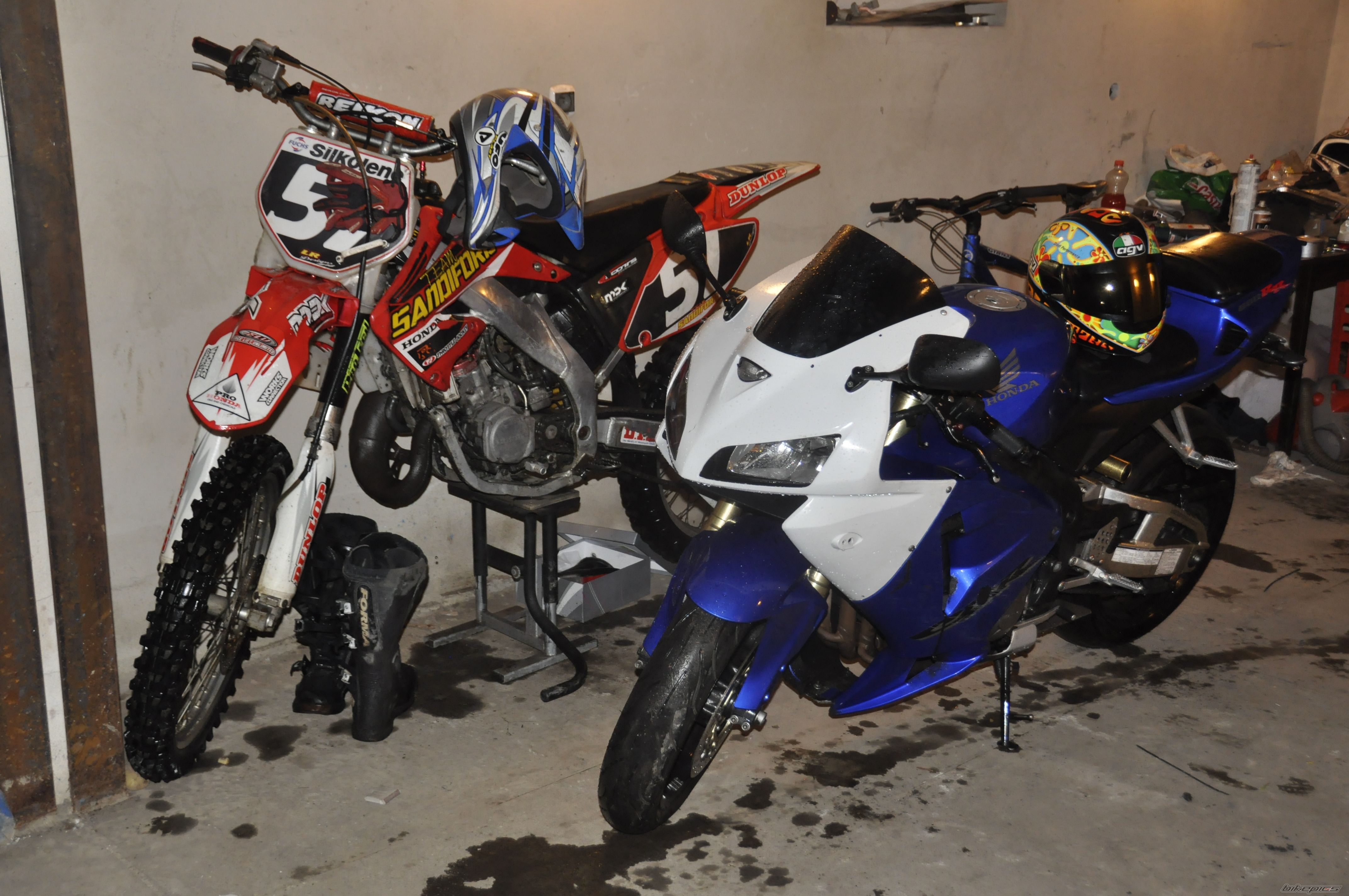 Photo 2481466